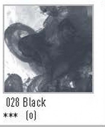 N.028 FW TINTA ACRÍLICA BLACK (INDIA)